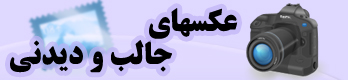 تصاویر جالب و دیدنی از سراسر وب